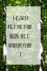石家庄：线上线下都能选 招工求职更方便