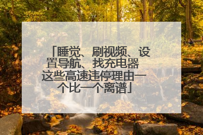 睡觉、刷视频、设置导航、找充电器 这些高速违停理由一个比一个离谱
