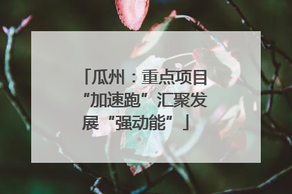 瓜州：重点项目“加速跑”汇聚发展“强动能”