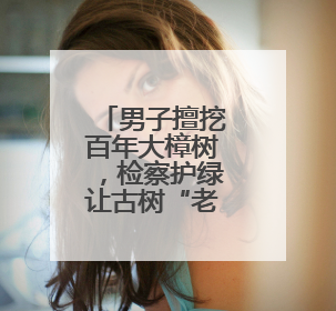 男子擅挖百年大樟树，检察护绿让古树“老有所依”