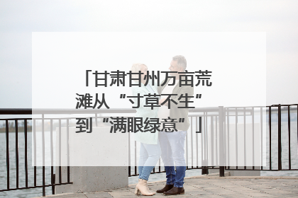 甘肃甘州万亩荒滩从“寸草不生”到“满眼绿意”