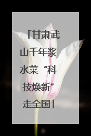 甘肃武山千年浆水菜“科技焕新”走全国