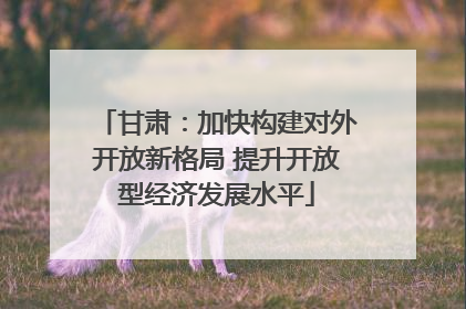 甘肃：加快构建对外开放新格局 提升开放型经济发展水平