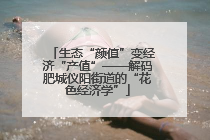 生态“颜值”变经济“产值”——解码肥城仪阳街道的“花色经济学”