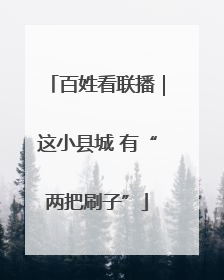 百姓看联播｜这小县城 有“两把刷子”