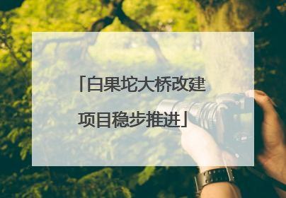 白果坨大桥改建项目稳步推进