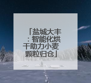 盐城大丰：智能化烘干助力小麦颗粒归仓