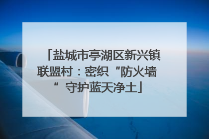 盐城市亭湖区新兴镇联盟村：密织“防火墙”守护蓝天净土