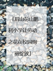 眉山彭山鹏利小学让劳动之花在校园绚丽绽放