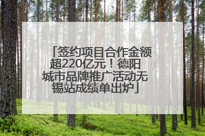 签约项目合作金额超220亿元！德阳城市品牌推广活动无锡站成绩单出炉