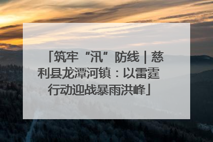 筑牢“汛”防线｜慈利县龙潭河镇：以雷霆行动迎战暴雨洪峰