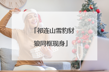 祁连山雪豹豺狼同框现身