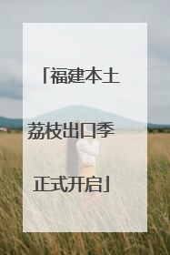 福建本土荔枝出口季正式开启