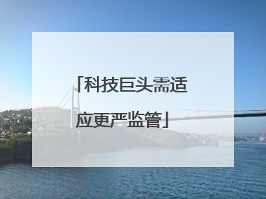 科技巨头需适应更严监管