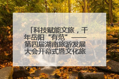 科技赋能文旅，千年岳阳“有范”——第四届湖南旅游发展大会开幕式暨文化旅游推介会侧记