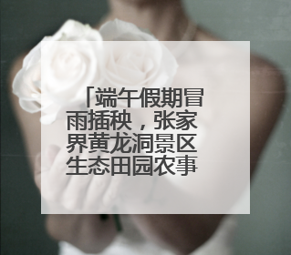 端午假期冒雨插秧，张家界黄龙洞景区生态田园农事忙