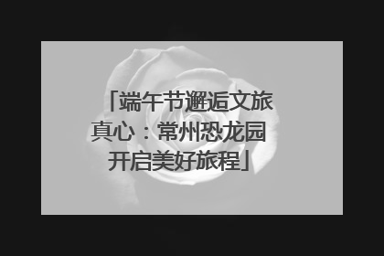 端午节邂逅文旅真心：常州恐龙园开启美好旅程