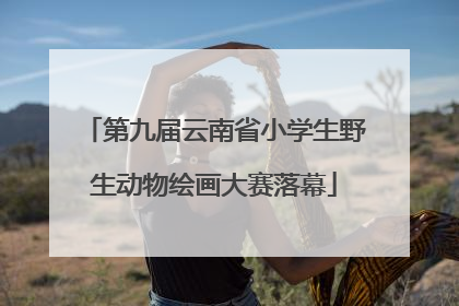 第九届云南省小学生野生动物绘画大赛落幕