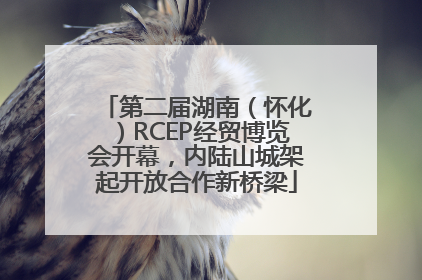 第二届湖南（怀化）RCEP经贸博览会开幕，内陆山城架起开放合作新桥梁