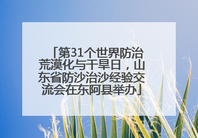 第31个世界防治荒漠化与干旱日，山东省防沙治沙经验交流会在东阿县举办