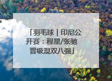 羽毛球｜印尼公开赛：程星/张驰晋级混双八强