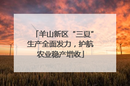 羊山新区“三夏”生产全面发力，护航农业稳产增收