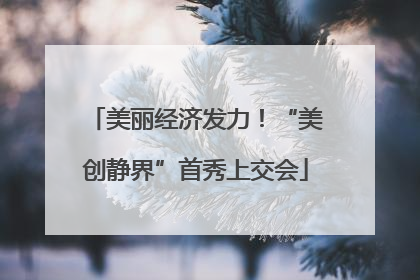 美丽经济发力！“美创静界”首秀上交会