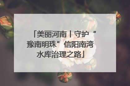 美丽河南丨守护“豫南明珠”信阳南湾水库治理之路