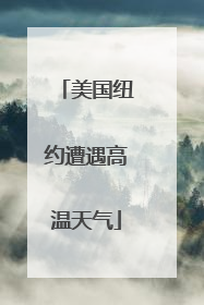 美国纽约遭遇高温天气