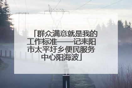 群众满意就是我的工作标准——记耒阳市太平圩乡便民服务中心阳海波
