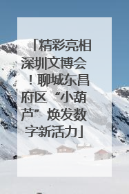 精彩亮相深圳文博会！聊城东昌府区“小葫芦”焕发数字新活力