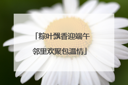 粽叶飘香迎端午 邻里欢聚包温情