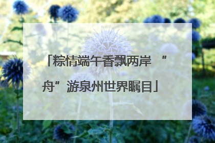 粽情端午香飘两岸 “舟”游泉州世界瞩目