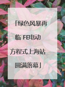 绿色风暴再临 FE电动方程式上海站圆满落幕