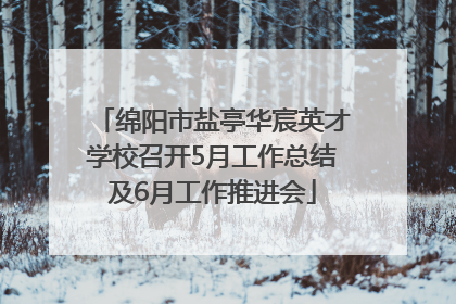 绵阳市盐亭华宸英才学校召开5月工作总结及6月工作推进会