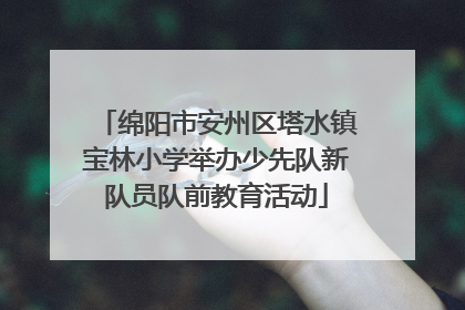 绵阳市安州区塔水镇宝林小学举办少先队新队员队前教育活动