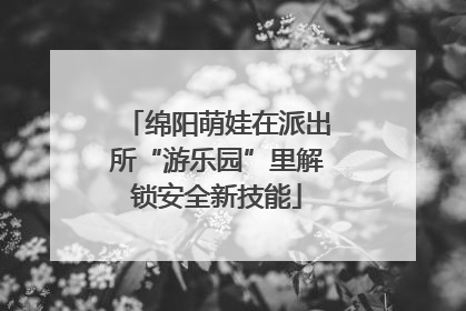 绵阳萌娃在派出所“游乐园”里解锁安全新技能