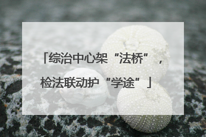 综治中心架“法桥”，检法联动护“学途”