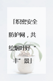 织密安全防护网，共绘烟叶好“丰”景