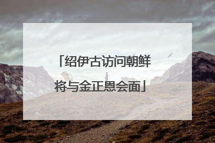 绍伊古访问朝鲜 将与金正恩会面