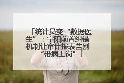 统计员变“数据医生”：宁阳前置纠错机制让审计报表告别“带病上岗”