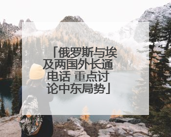 俄罗斯与埃及两国外长通电话 重点讨论中东局势