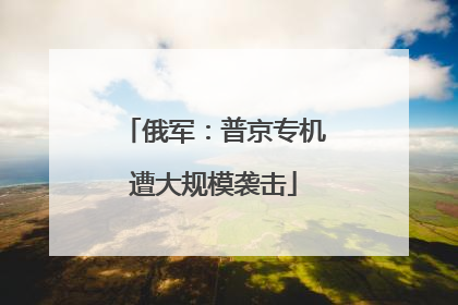 俄军：普京专机遭大规模袭击
