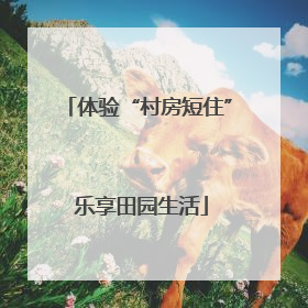 体验“村房短住” 乐享田园生活