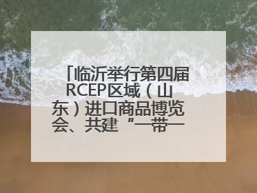 临沂举行第四届RCEP区域（山东）进口商品博览会、共建“一带一路”第三届临沂商城国际采购商大会新闻发布会