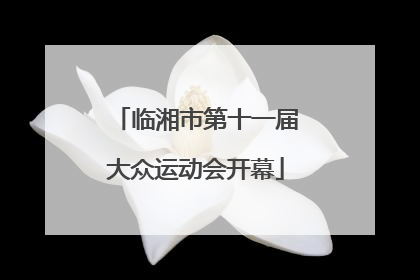 临湘市第十一届大众运动会开幕