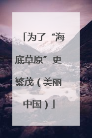 为了“海底草原”更繁茂（美丽中国）