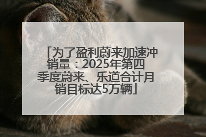 为了盈利蔚来加速冲销量：2025年第四季度蔚来、乐道合计月销目标达5万辆