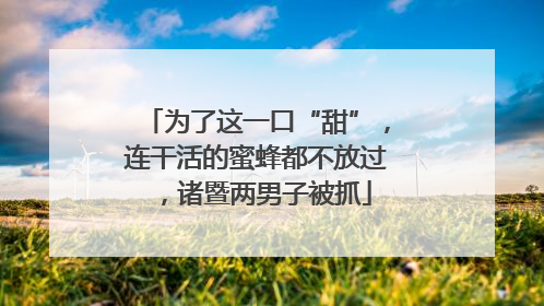 为了这一口“甜”，连干活的蜜蜂都不放过，诸暨两男子被抓