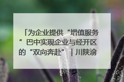 为企业提供“增值服务”巴中实现企业与经开区的“双向奔赴”｜川陕渝网络名人巴中行